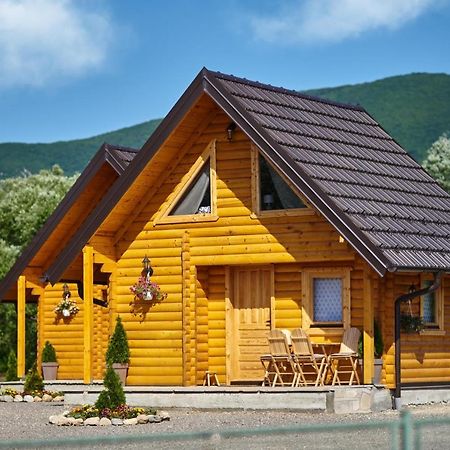 Brvnare Madera Banja Zdrelo Villa ภายนอก รูปภาพ