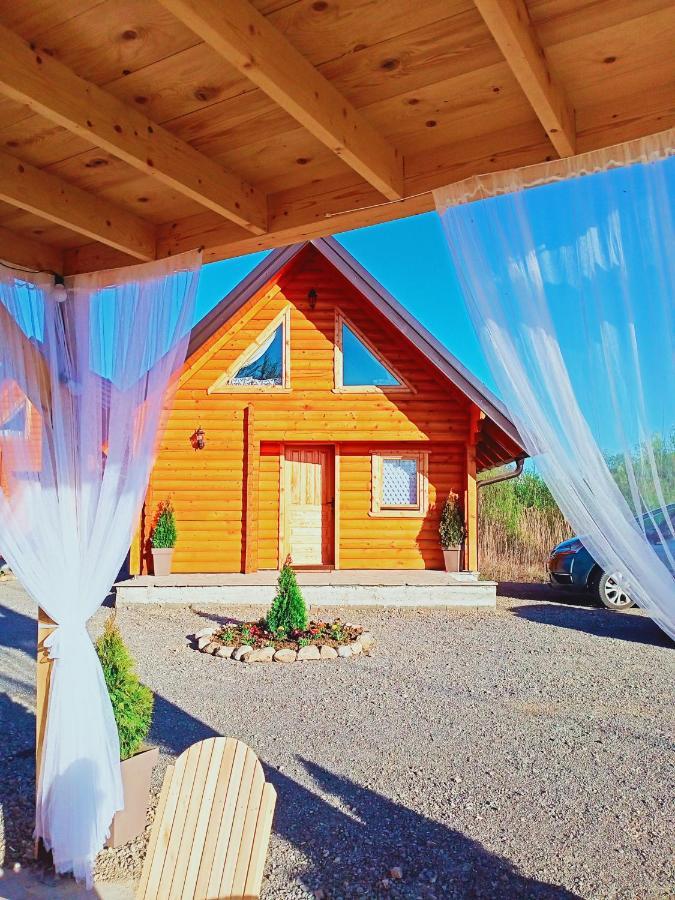 Brvnare Madera Banja Zdrelo Villa ภายนอก รูปภาพ