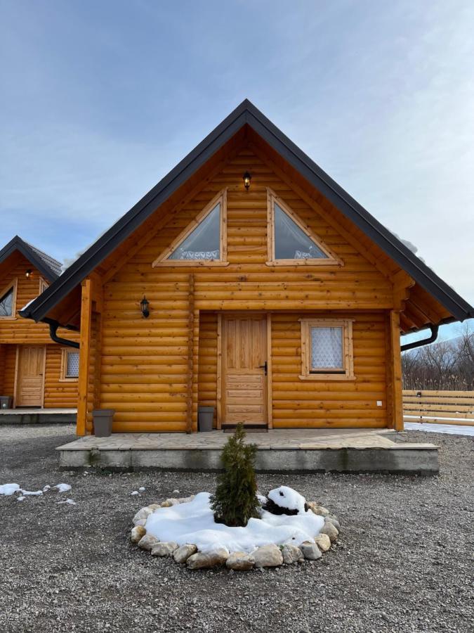 Brvnare Madera Banja Zdrelo Villa ภายนอก รูปภาพ